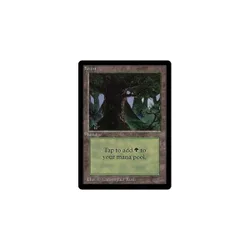 Forest (#1) Beta