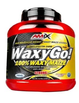 Amix Waxygo Glucides Fruits 2kg