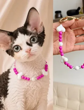 Cute peach heart pet necklace cat collar puppy neck ring dopamine beaded photo jewelry cross-border wholesale - Aliexpress - FashionsVida