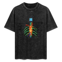 Merder T-Shirt Comfortable Workout Short Sleeve Shirt