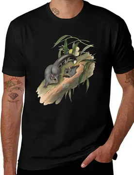 Sugar gliders - Belideus Notatus T-Shirt funny t shirts dark humor t shirts for man cotton funny - Aliexpress - FashionsVida