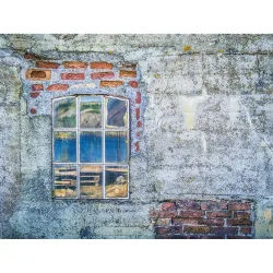 Fotomural Wall in the Window