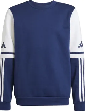 Squadra 25 Kinder Sweatshirt, blau 140