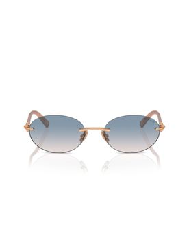 Occhiali da sole TF3104D-621716 Donna