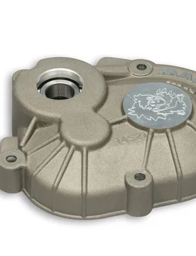 Carter Ingranaggi Roller Crankcase Per Motori Piaggio Vespa Lx 50 4t - Malossi - FashionsVida