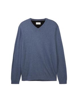 Basic v-neck knit male