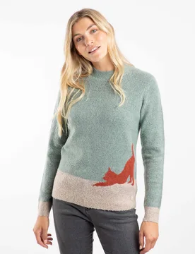 Whiskers Womens Intarsia Knitted Jumper - - Size: 12 - Weird Fish - FashionsVida