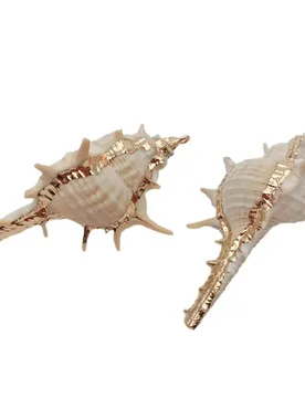 Pcs 31x63mm Natural Conch Spiral Shell Gold Plated for DIY Pendant - Aliexpress - FashionsVida