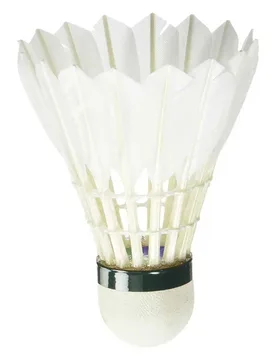 Aerosensa 20 V4 Badminton Shuttlecocks White 20 Units - Yonex - FashionsVida