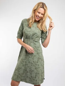 Women's Cassandra Jersey Swing Dress in Olive Size: 22 - Olive - Size: 22 - Weird Fish - FashionsVida