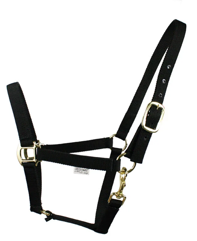 Halfter XTREME Messing Finish - black WB - Equest - FashionsVida
