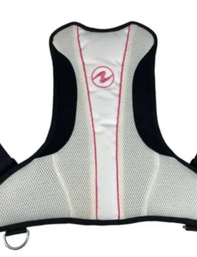 Protezione Schiena Rogue Back Assembly