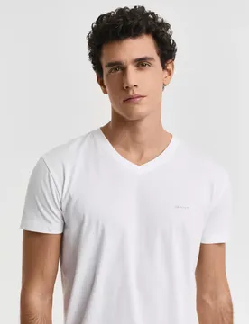 V-NECK T-SHIRT 2-PACK male