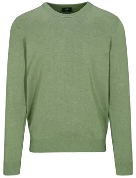 Rdh.-Pullover, 1/1 Arm male