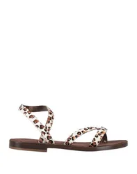 Sandalias Mujer Café 38 Mujer