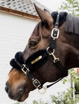 Nylon-Lammfellhalfter Soft, schwarz Pony - Kentucky Horsewear - FashionsVida