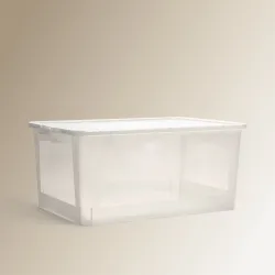 Caja de almacenaje con tapa