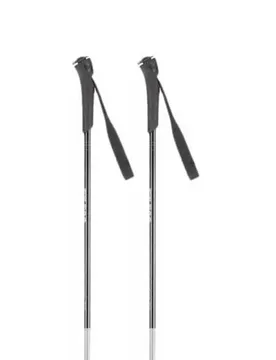 Bâtons Ft-500 Grey 155 cm Homme