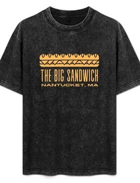 The Big Sandwich T-Shirt Simple Solid Color Crew Neck Tee - Aliexpress - FashionsVida