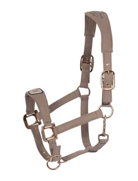 Halfter CAVALPAWEL mocha latte VB - Cavallo - FashionsVida