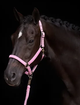 Halfter HVP NENA pretty pink Full - HV POLO - FashionsVida