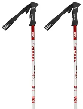 Bâtons R Alux Grey / Red 125 cm Homme