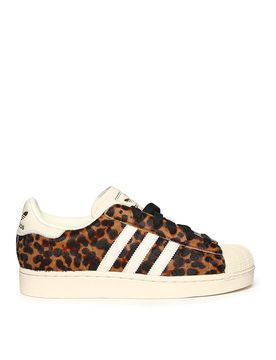 Sneakers Superstar II