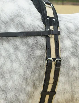 Longiergurt mit Handgriff, schwarz WB - Busse - FashionsVida