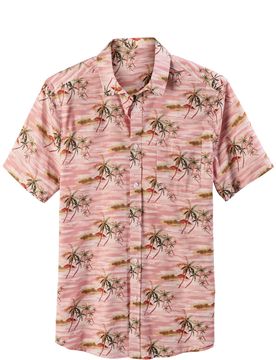 Camisa / / /