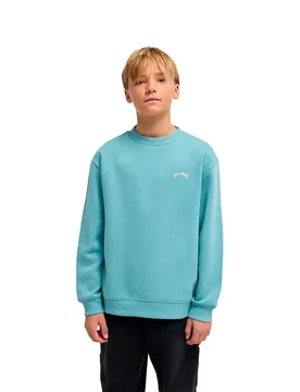 Sweat-shirt Arch Cr Blue Haze 14 Années Garçon