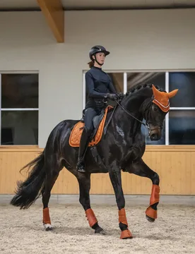 Gamaschen 1200D SPARKLE Platinum'26 amber S - Eskadron - FashionsVida