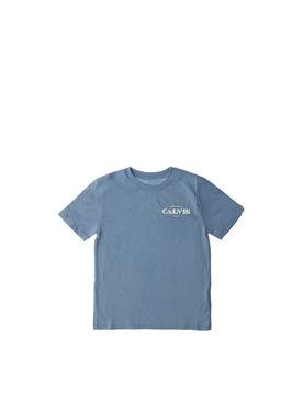 T-shirt girocollo AZZURRO POLVERE 14