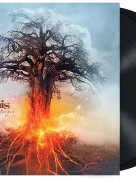 Skyforger von - 2-LP (Deluxe Edition, Limited Edition, Re-Release, Standard) - None - unisex - Amorphis - FashionsVida