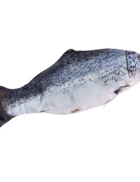 Katzenspielzeug „Fisch“ blau