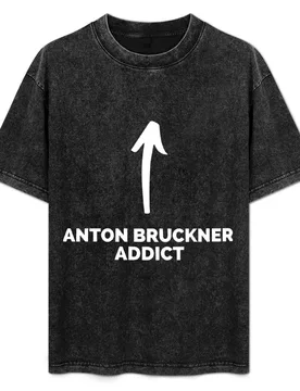 You're an Anton Bruckner Addict T-Shirt Vintage Style Printed Top - Aliexpress - FashionsVida