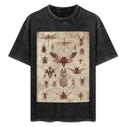 Insects (colored) T-Shirt Casual Fashion Short Sleeve Cotton T-Shirt