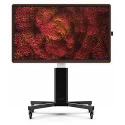 Écran Tactile 10052565 65´´ 4k Led Black One Size unisex