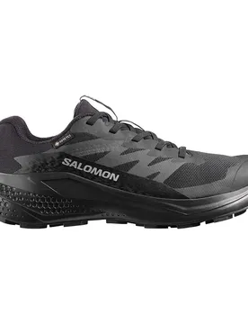 Scarpe Da Trail Running Alphaglide Gore-tex® Black / Asphalt / Black EU 43 1/3