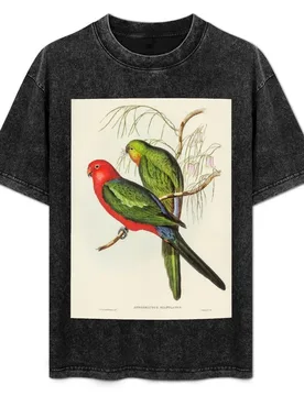 John Gould King Parrot T-Shirt Classic Graphic Short Sleeve Top - Aliexpress - FashionsVida