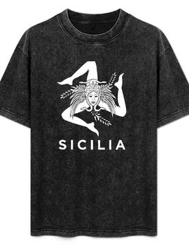 Sicily Trinacria T-Shirt Plus Size Quick Dry Sports Tee - Aliexpress - FashionsVida