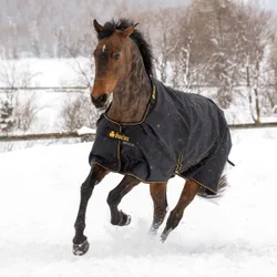 Weidedecke IRISH TURNOUT 300g, black-gold 165