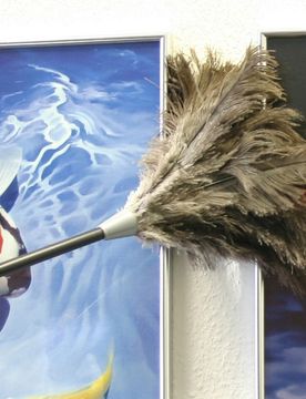 Staub-Magnet mit verlängerbarem Teleskopstiel, Schwarz, ideal für schwer erreichbare Stellen