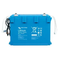 Lifepo4 100ah Lithium Battery 25.6v Blue One Size unisex