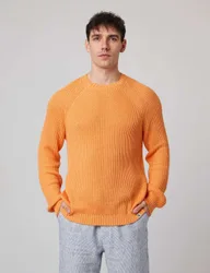 Pure Cotton Textured Crew Neck Jumper Orange male