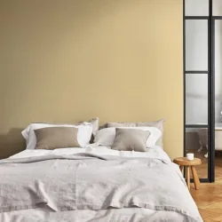 Pintura plástica Elegance 4 litros - Destello