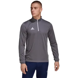 Sweat-shirt Entrada 22 Training Team Grey Four XS