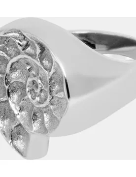 Anillo Isola sello Caracola - Moliane - FashionsVida