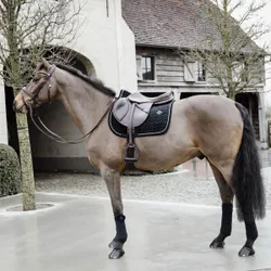 Schabracke BASIC VELVET COB schwarz VS