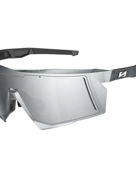 Occhiali Da Sole Aerostorm Black / Silver