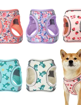 Juego de arnés y correa ajustable para perro, correa de para cachorros, arnés de chaleco de malla suave para perros pequeños, correa ajustable sin - Shein - FashionsVida